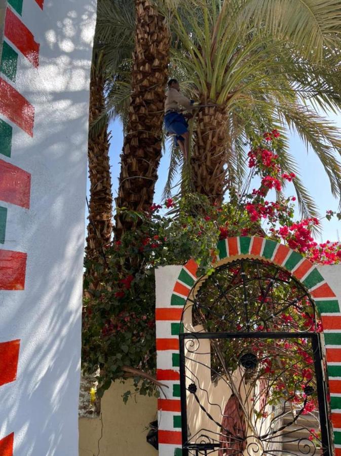 אסואן Nubian Dreams Guest House מראה חיצוני תמונה